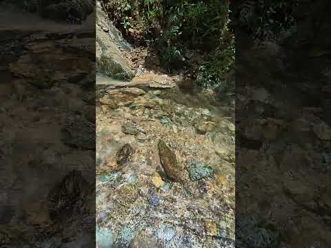 el tambo cauca #travel #colombia #parati #paisajes