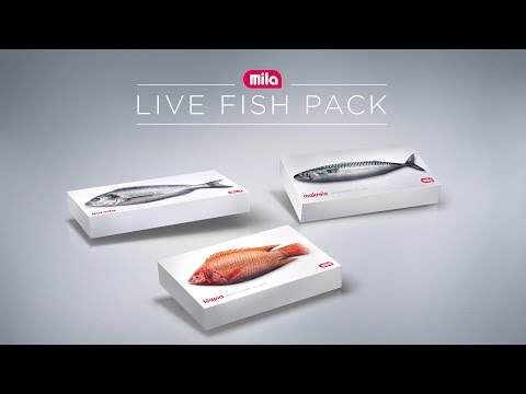 ⁣The Live Fish Pack