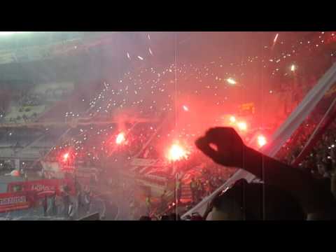 vamos vamos tiburón