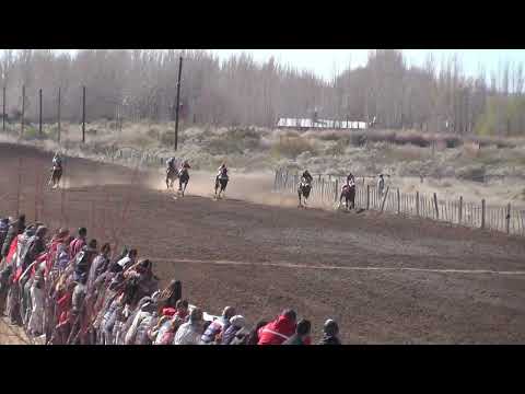 QUE MARADONA  Club Hípico Cabo Alarcón - Picun Leufu - 27/08/2023