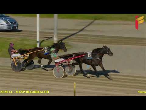 IV Corsa del 9 novembre 2022 - Cat. D - Metri 2000