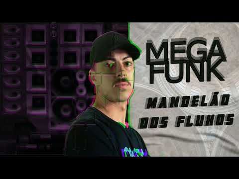 MEGA MANDELÃO DOS FLUXOS - PETROSKI