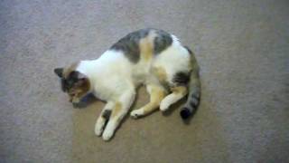 a little more crazyness