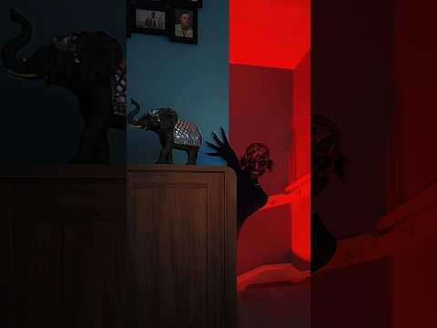 Did you see him? 🫣 IB @officialemptyalien