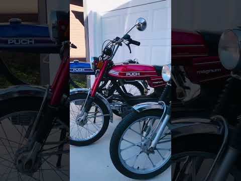 Thumbnail for A Rainbow Of Puch Magnums For Your Pleasure 🌈 by Motorcycle, Puch