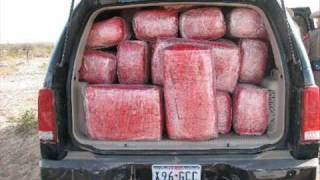 la siembra los cuates de sinaloa