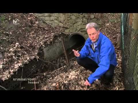 Der Fall Gabriele Schmidt