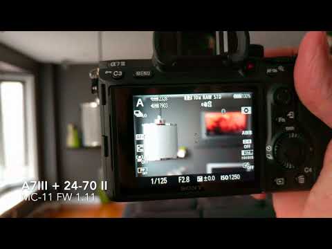 Sony A7III + Canon 24-70 II using the MC-11