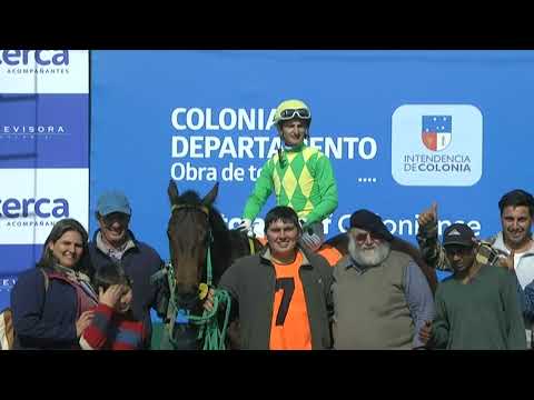 230825 c10 - 1° WATCH THE DOG - SINT COLONIA