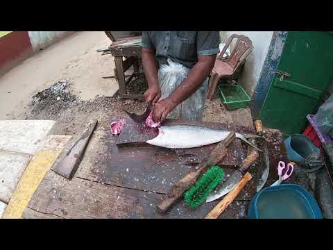 Wow Lel Parawa Fish Cutting  | Fish Cutting Skills | Fishing Life Lk