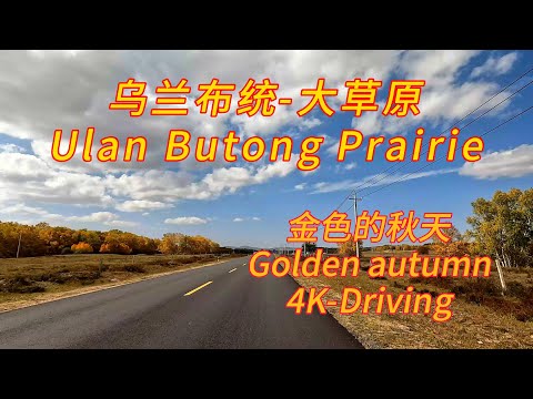 Mongólia Interior, China - Grandes Pradarias - Oceano Dourado - 4k Longo Alcance 🚗👍