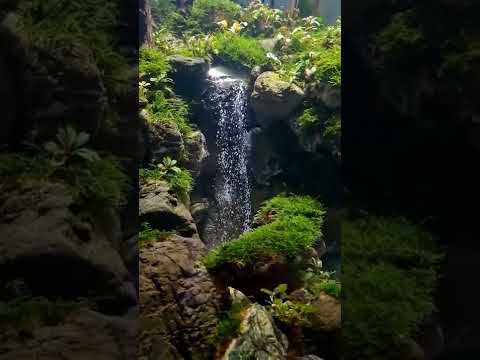 Aquascape waterfall