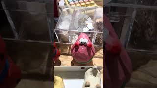 Comment for location #explore #shopping #vietnam #hochiminh …