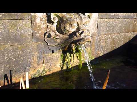 Panasonic Lumix DMC S5 Test Video