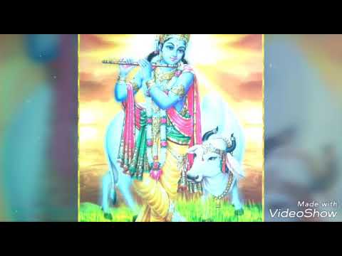 ಕೊಳಲುದೋ ಗುರುವಾಯುರ್  ಕೃಿಷ್ಣನೆ Koolaludoo guruvayoor krishne #drkjyesudas