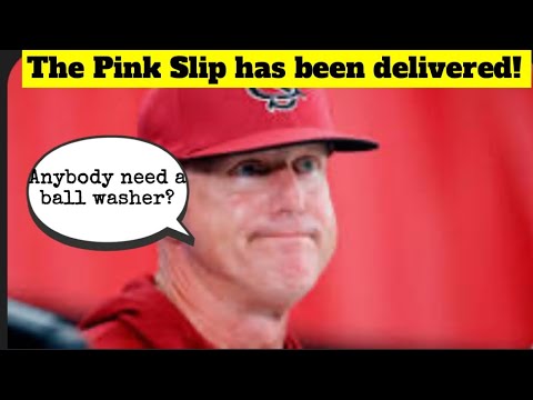 MARK KINGSTON FIRED AFTER 7 SEASONS AS SC BASEBALL COACH!