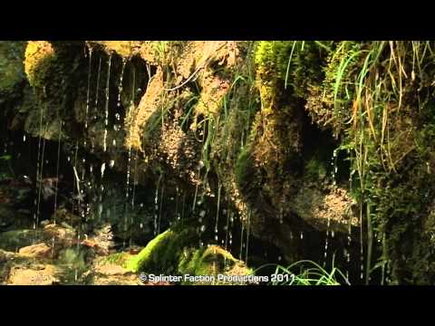 HD scenery in & around Dordolla in Val Aupa, Italy - June 2011