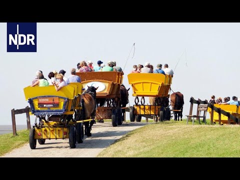 Neuwerk - Hamburgs Handvoll Insulaner | die nordstory | NDR