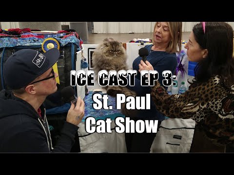 Ice Cast Ep. 3: St. Paul Cat Show