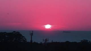 Conan Osiris - Amália