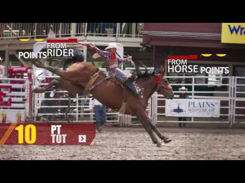 Rodeo 101: Saddle Bronc