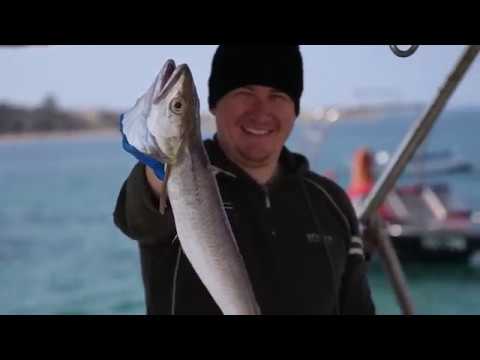 Food and Wine on the Croatian Island of Pag