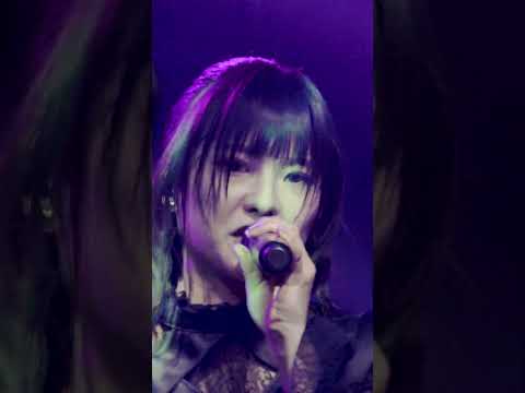 ♪ undead Live ver.  #ringwanderung #live  #idol