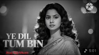 Download lagu Ye dil tum bin kahi lagta nahi | Romantic Hindi Song | Full Audio mp3