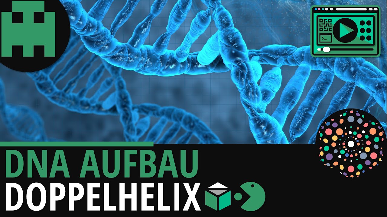 DNA Aufbau Erklärvideo Thumbnail