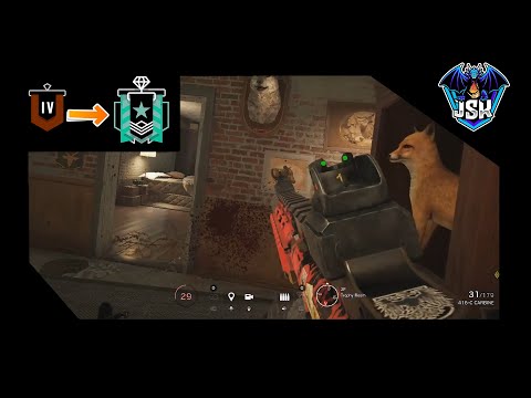 R6 IRON SIGHT N SUPPRESOR ONLY (COPPER2DIAMOND)