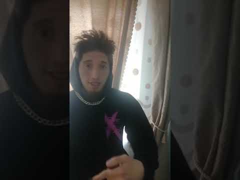 Мс шмель. Шмел. Шмель черского. Bombus agrorum. Мс шмель.