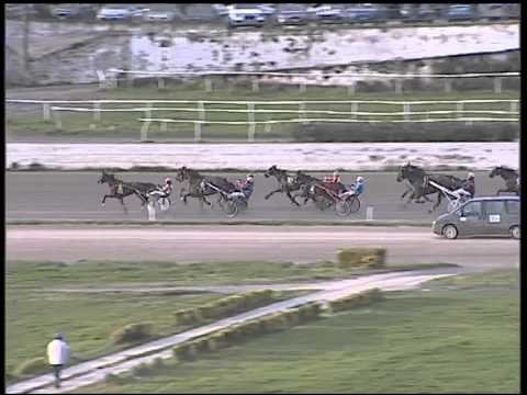 Trotto 05/03/2015 - 5° corsa