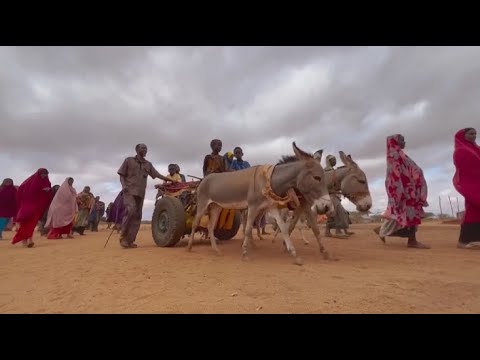 Фильмдер шытырман оқиғалы қорқынышты эротика