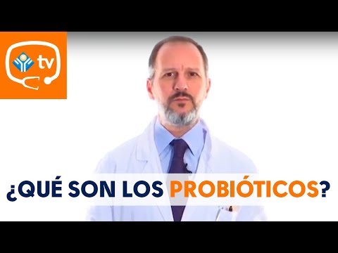 ¿Qué son los probióticos?