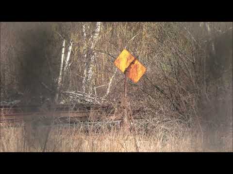 Abandoned rail yard - Salem, MA - 4/2023