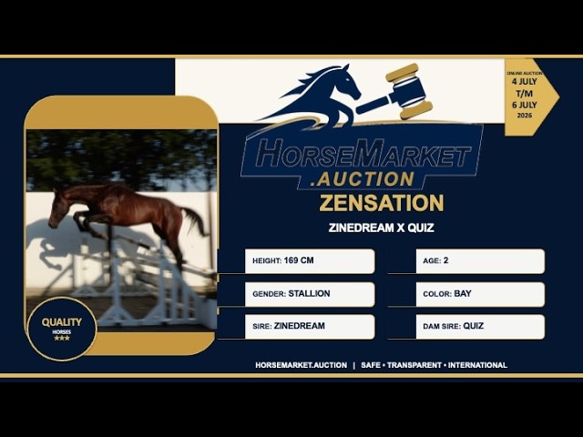 Zensation