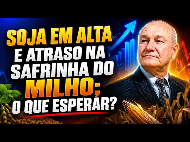 Soja em alta e atraso na safrinha do milho; o que esperar?