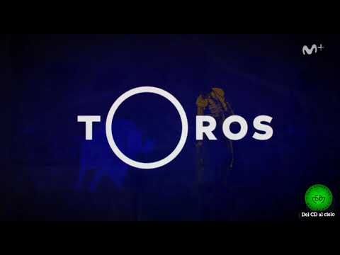 I N S I S T E N C I A. CD MARCHAMALO vs YUGO SOCUÉLLAMOS   J. 11