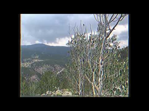 [FREE] Lil Peep X Nothing Nowhere Type Beat | 135 BPM (2022)