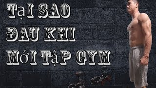 Đau cơ khi tập Gym có nên tập tiếp | Làm sao để hết đau cơ sau khi tập Gym ?