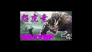 怨虎竜に恨みを晴らしに行く【モンハンライズ実況里クエ制覇】＊EDありネタバレ注意