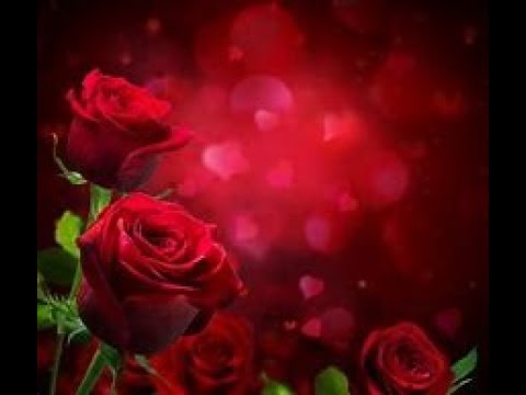 B Weeklies ~ Week starting September 23rd 2019 ~ Here comes the love and respect!  Whoop!