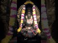Mari Muthumari Amman Song Status Tamil