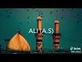 Janam Fida E Haidari Status AJQ