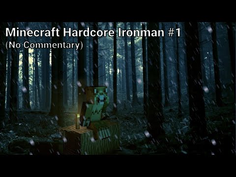 Insane Joey's Hardcore Minecraft Challenge!
