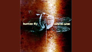 Human Fly