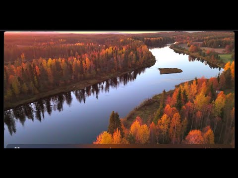 Pavel Svimba - Kosminen Kiemurtelija (Official Video)