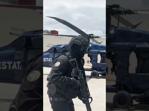 La polémica compra de Delfina de un helicóptero