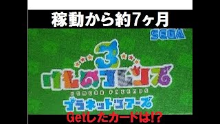 【稼動から約7ヶ月】けものフレンズ3 Getしたカード紹介