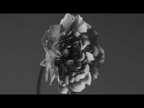 You Got to Feel It のサムネイル